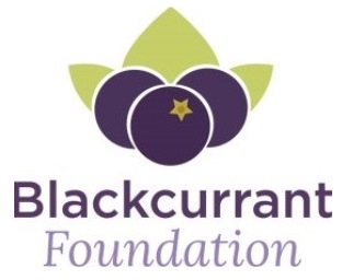 Blackcurrant Foundation Logo