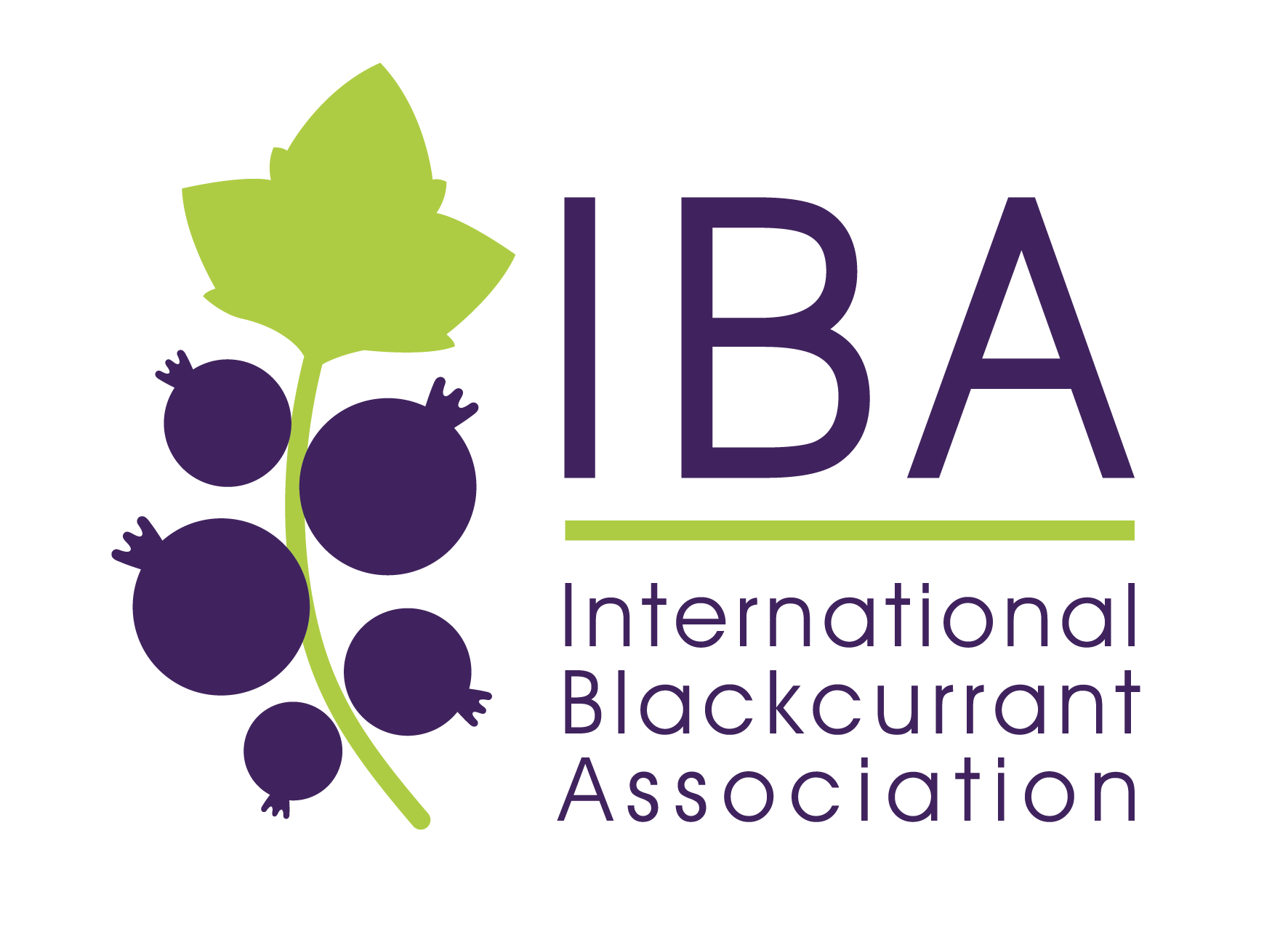 International Blackcurrant Association Logo