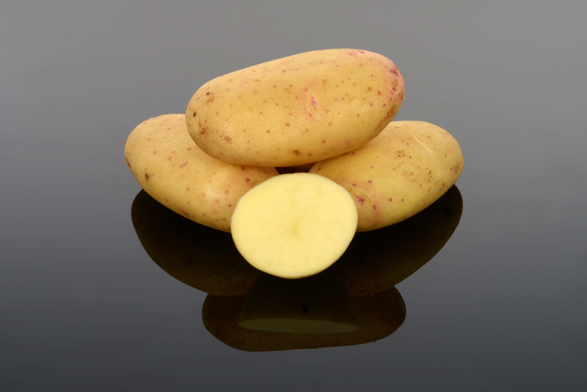 Lady Balfour Potato