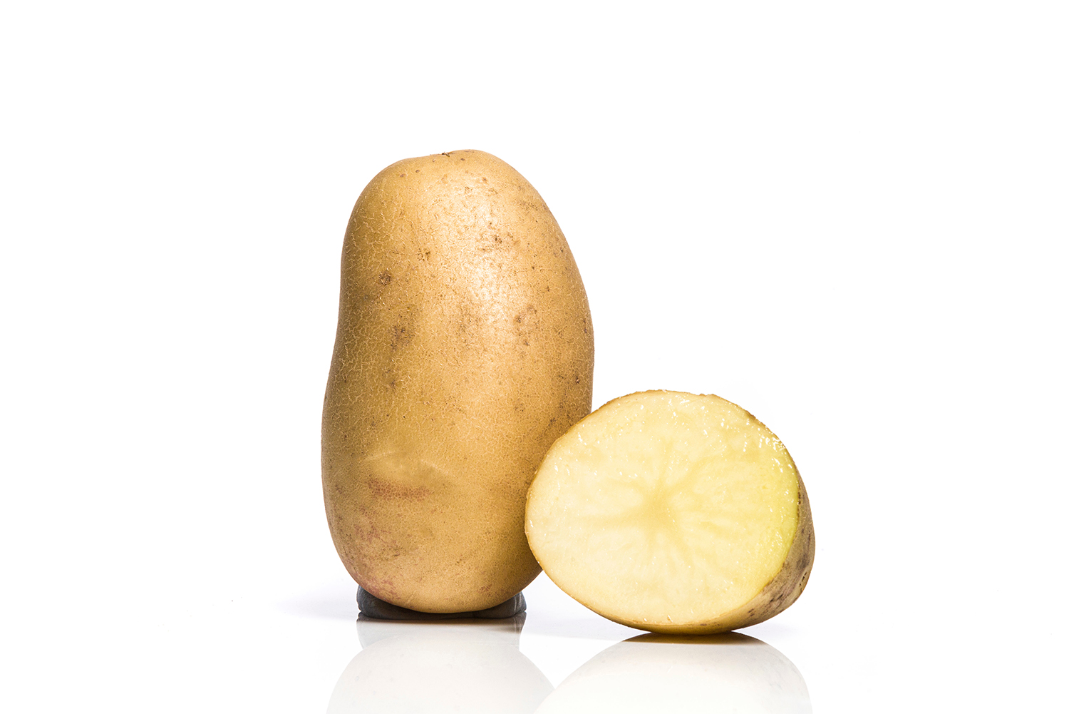Lady Balfour potato