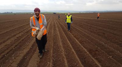 Potato planting James Hutton Limited 2020