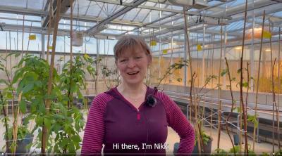 Nikki Jennings, Rasberry breeder at James Hutton Limited introduces our new video series: Inside Raspberry Breeding