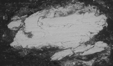Metal in SEM