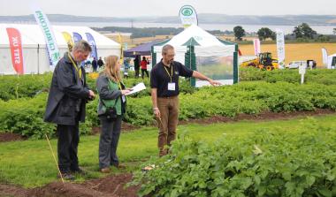 Tattie team at PiP