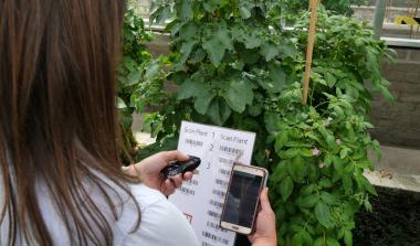 Bioinformatics apps