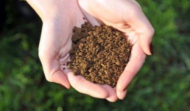 Hutton Soils