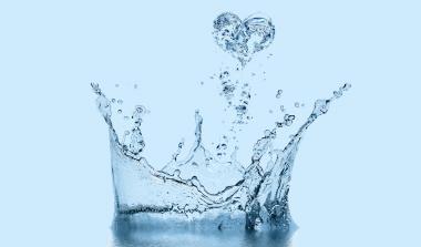 Scotland's Centre of Expertise for Waters