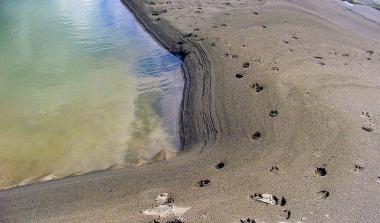 Marine Sediments