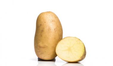 Lady Balfour potato