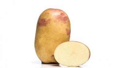Sorrento potato