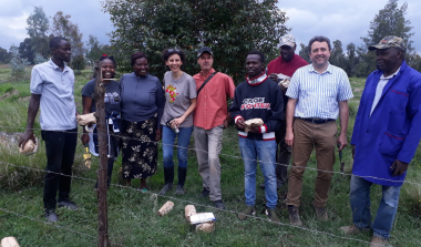 Resolve Kenya Potato Project