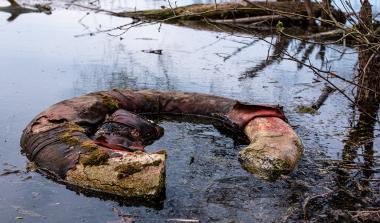 Contamination Analyses