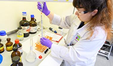 Jennifer Haig Research Scientist at James Hutton Limited