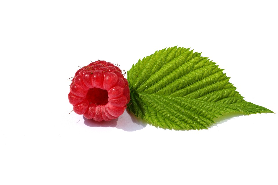Raspberry