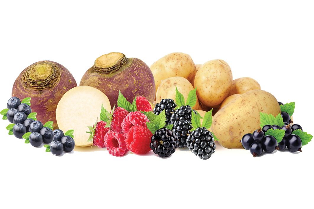 Fruit and Vegetables PNG