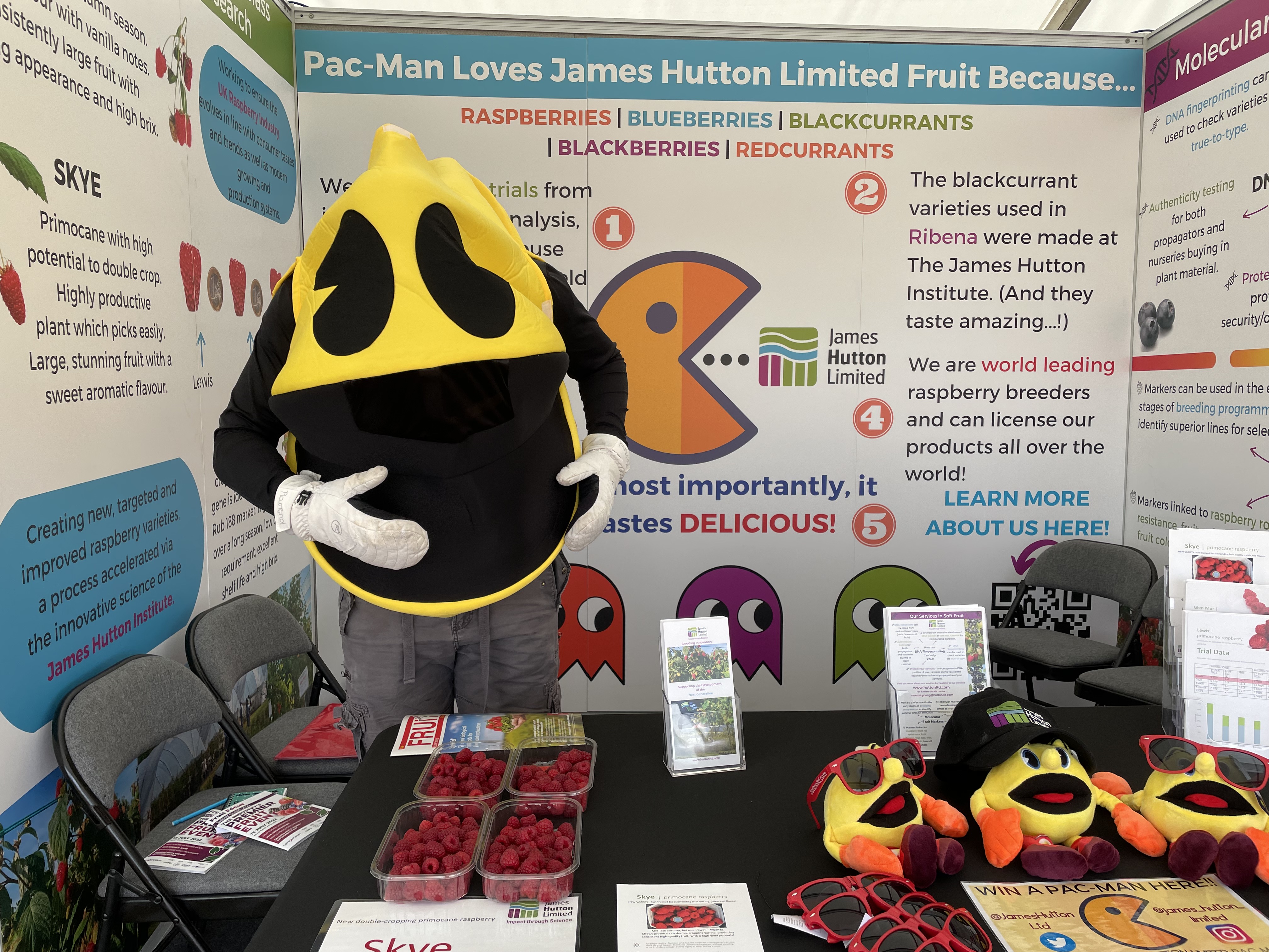 Pac-Man at Fruit Focus 2022
