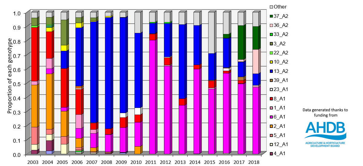 The diversity of P.infestans Genotypes in UK Fields 2003 - 2018