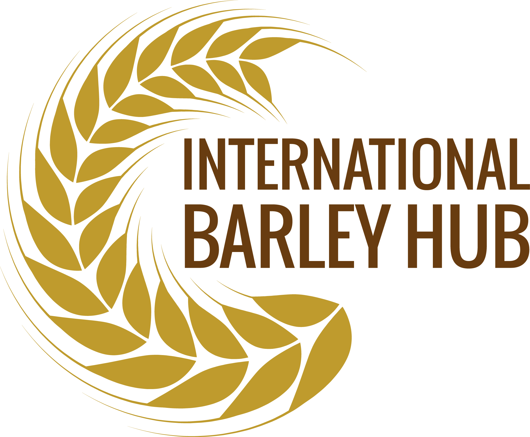 International Barley Hub