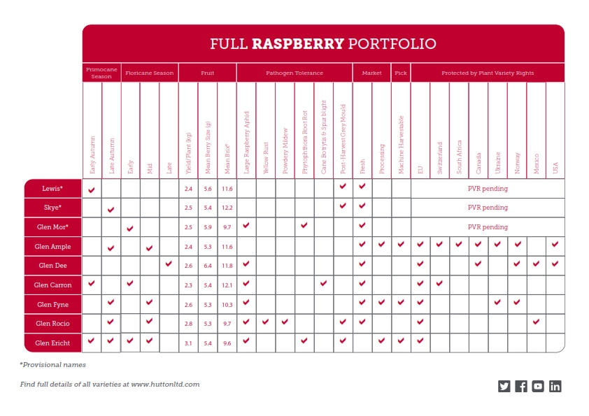 James Hutton Limited Raspberry Info