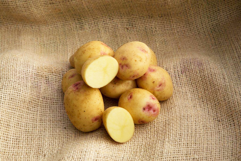 Sorrento potato