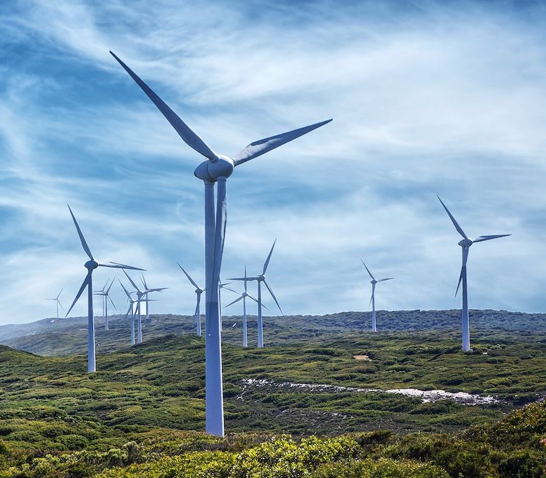 Wind farm 