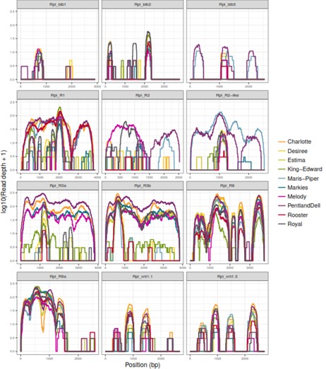 dRenSeq