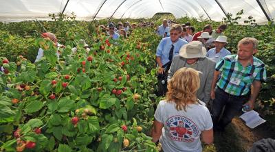 Raspberry Tunnel at FFF