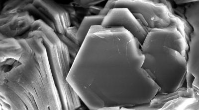 SEM image of smectite