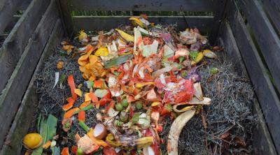 Food waste 