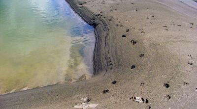 Harbour sand