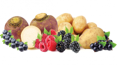Fruit and Vegetables PNG