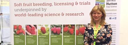 International Soft Fruit Conference
