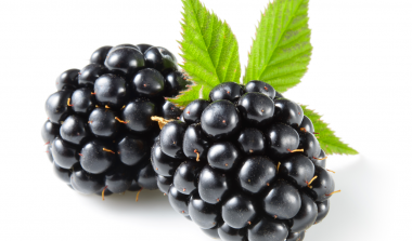 Blackberry