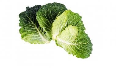 Brassica Kale