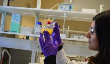 Scientist in lab 2