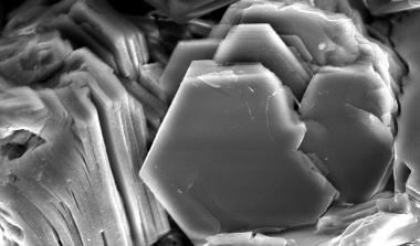 SEM image of smectite