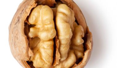 Walnut