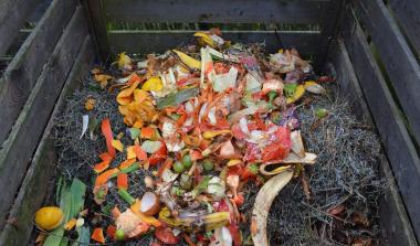 Food waste 