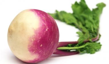 Turnip