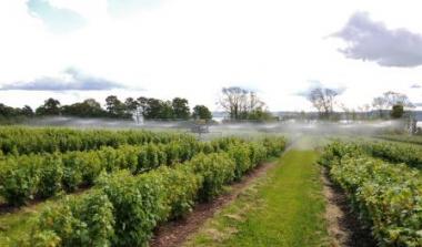 Crop Science James Hutton Limited 