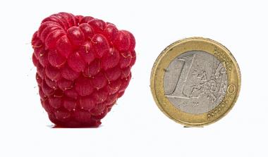 Glen Dee Raspberry