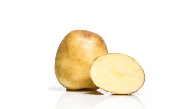 Jester potato