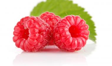 raspberry breeding James Hutton Limited Glen