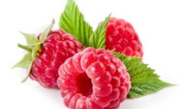 raspberry breeding James Hutton Limited Glen