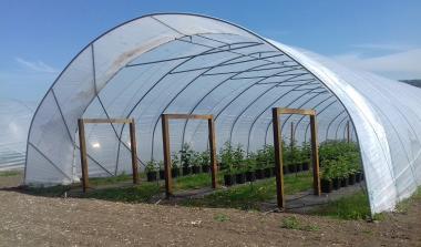 hutton raspberry field tours