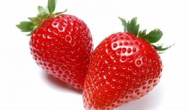 Hutton limited Strawberry Breeding 