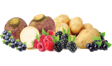 Hutton limited crops