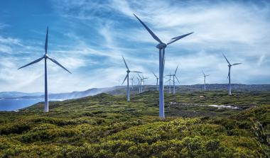 Wind Farm 
