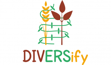 DIVERsify intercropping project