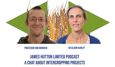 Intercropping Podcast